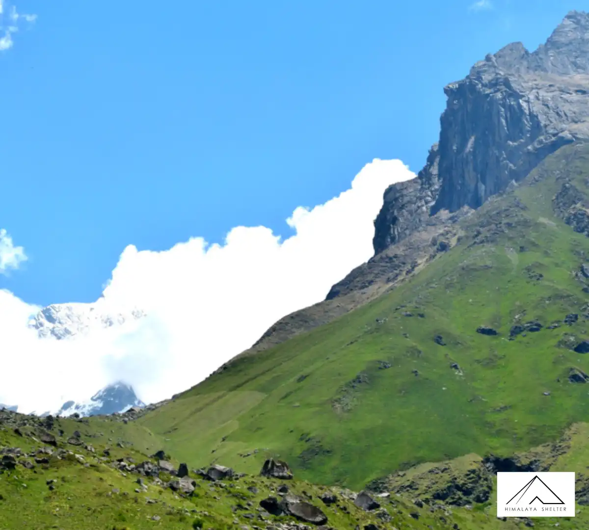 Gallery photo - Borasu Pass Trek 1