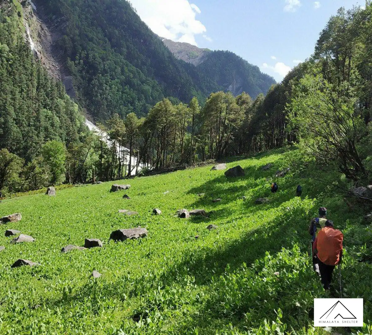 Gallery photo - Borasu Pass Trek 8