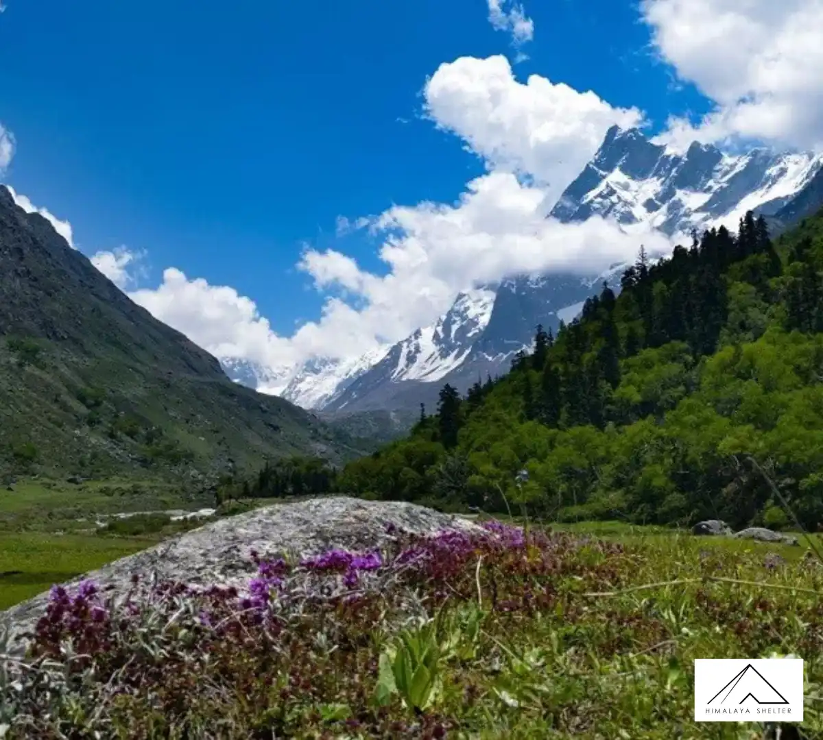 Gallery photo - Har Ki Dun Ruinsara 5