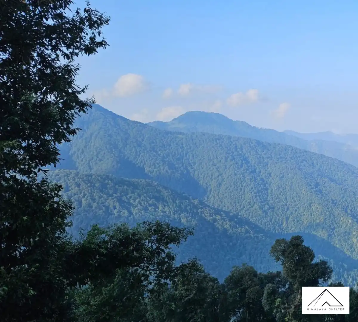 Gallery photo - Nag Tibba Trek 1