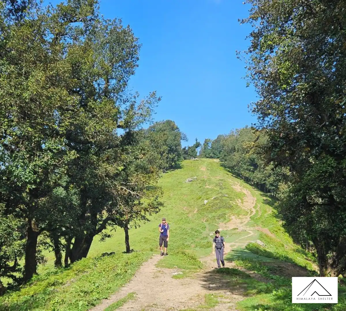 Gallery photo - Nag Tibba Trek 3