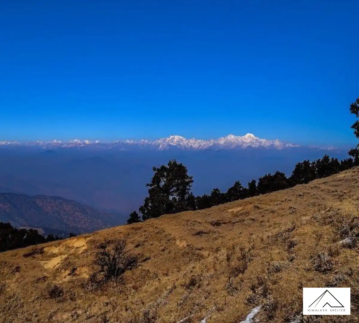 Gallery photo - Nag Tibba Trek 4