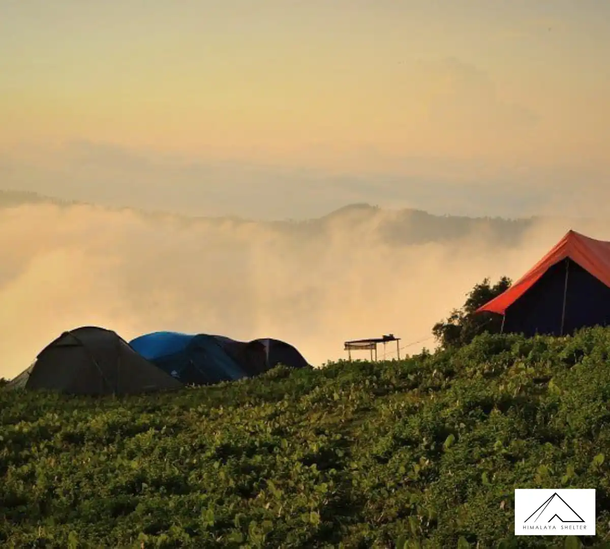 Gallery photo - Nag Tibba Trek 5