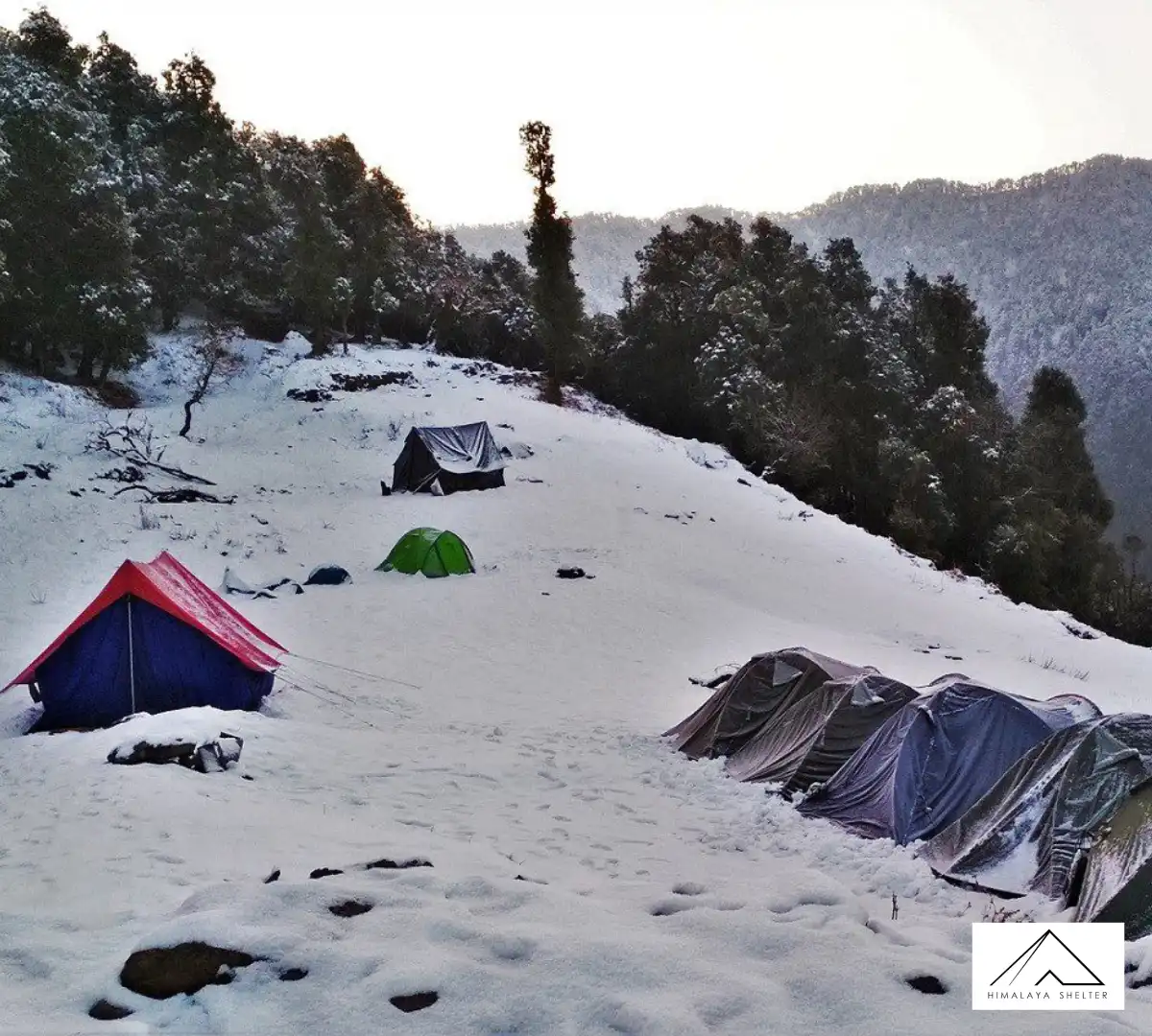 Gallery photo - Nag Tibba Trek 6