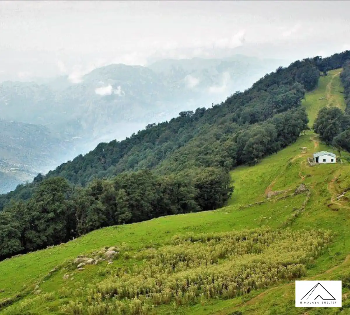 Gallery photo - Nag Tibba Trek 8