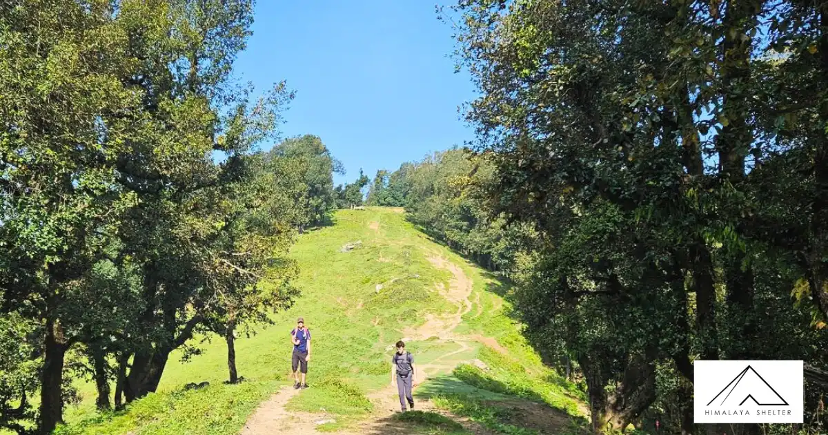 Trekkers On the Way To Nag Tibba