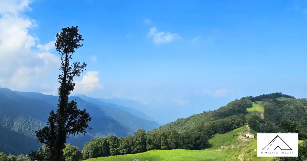 Trail Leading To Nag Tibba Summit