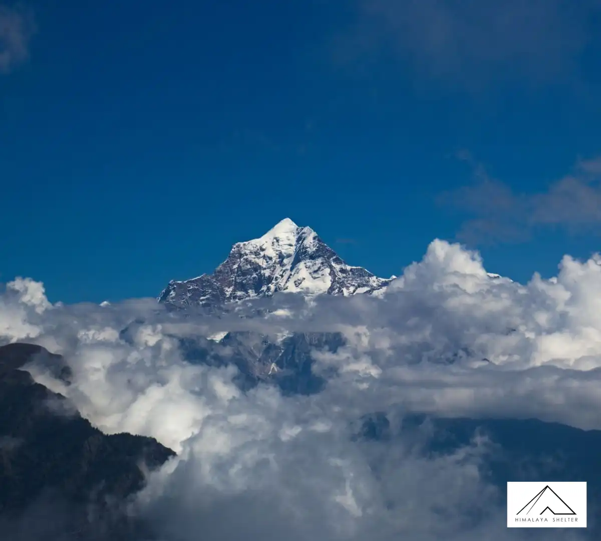 Gallery photo - Kuari Pass Trek 1