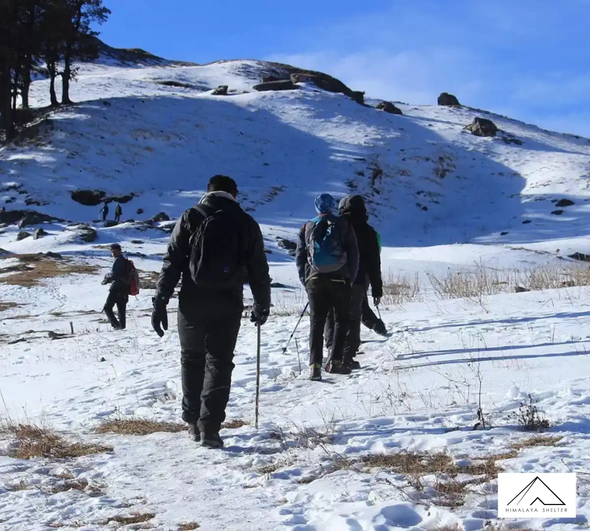 Gallery photo - Kuari Pass Trek 4