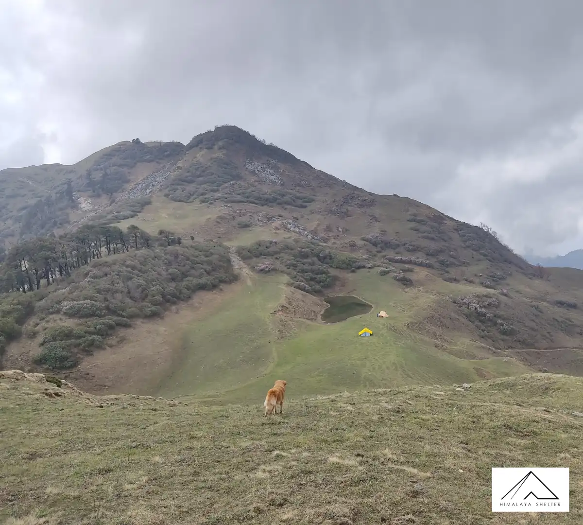 Gallery photo - Surya Top Trek 4