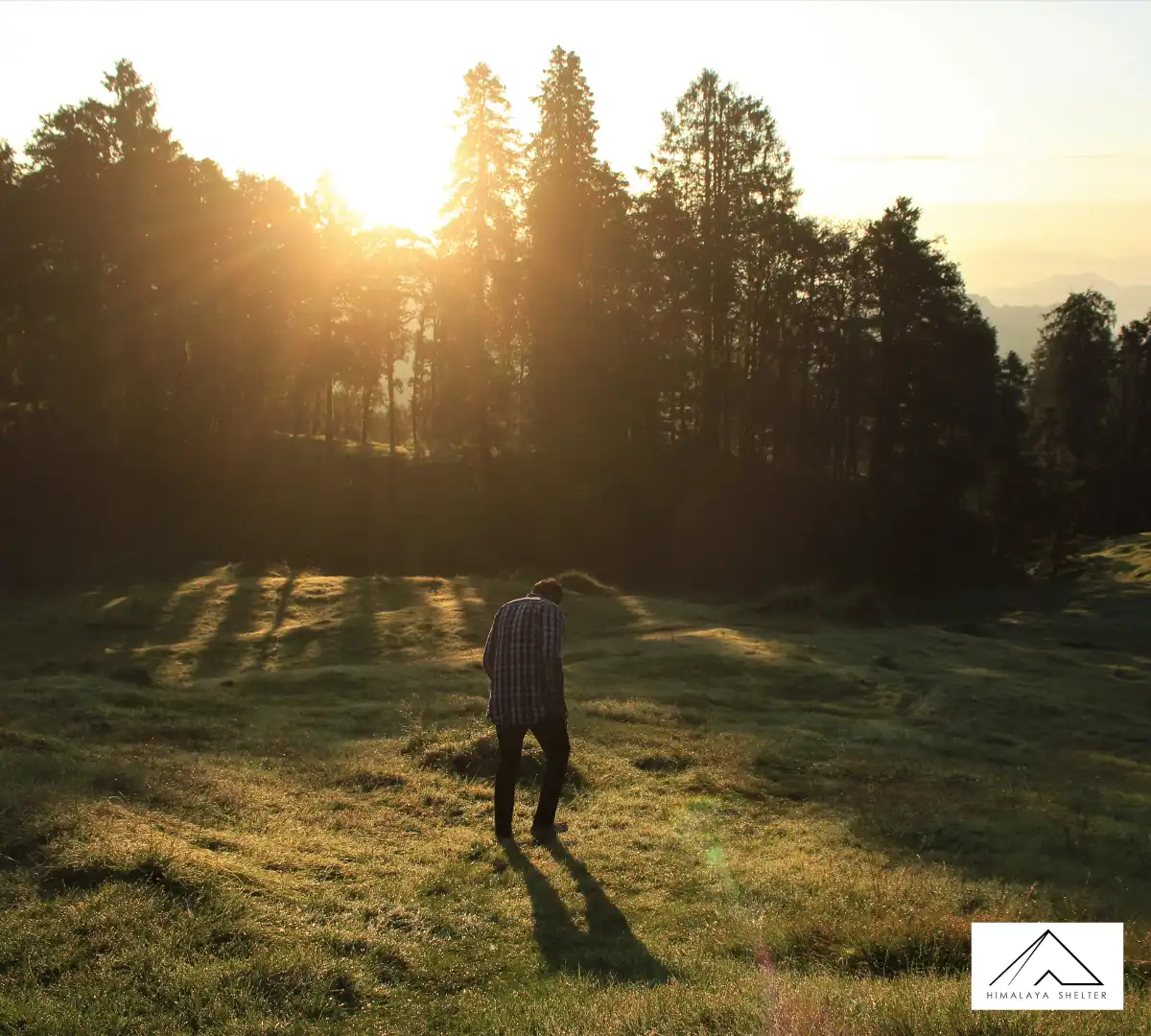 Gallery photo - Devban Trek 1