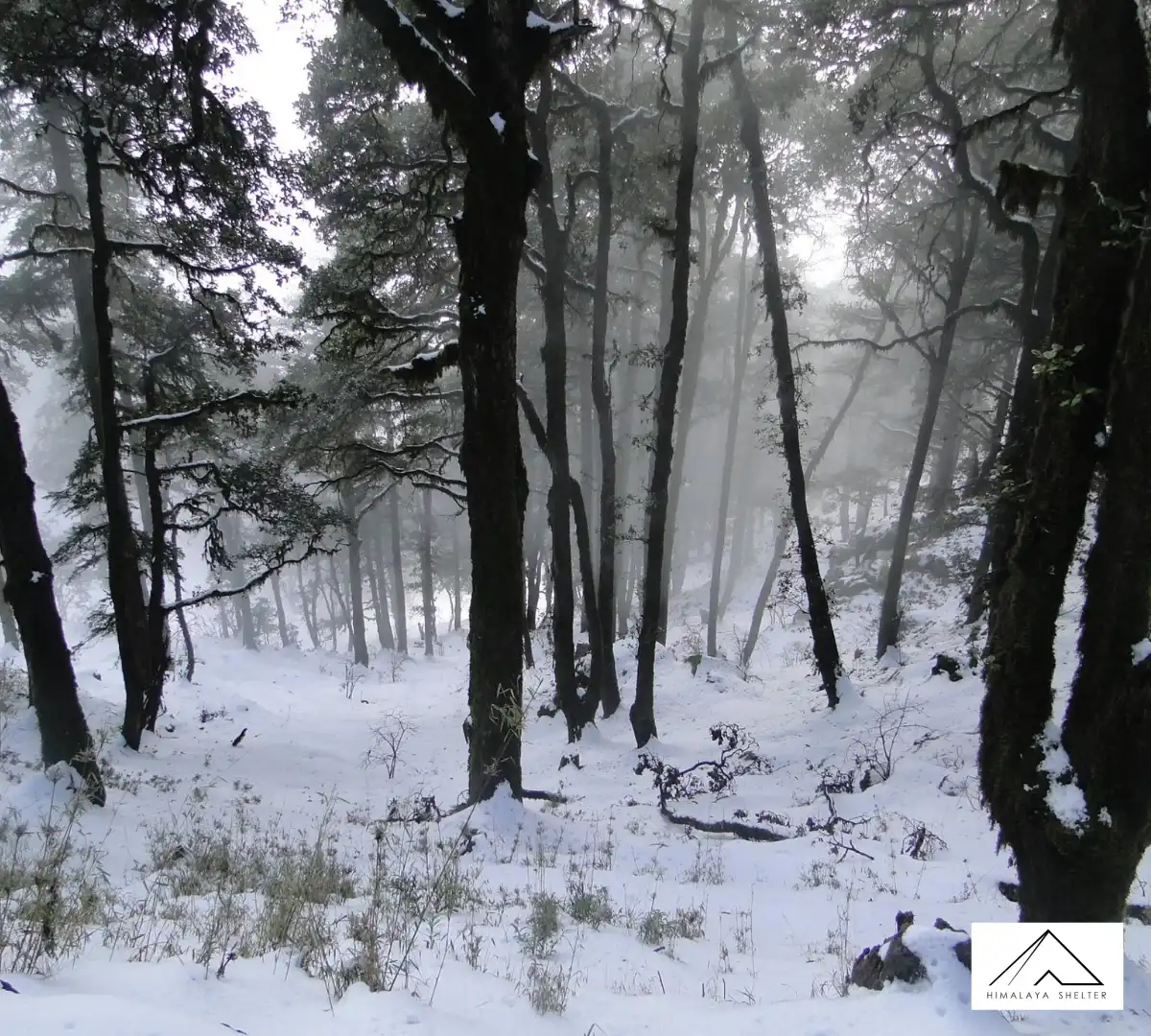 Gallery photo - Devban Trek 3