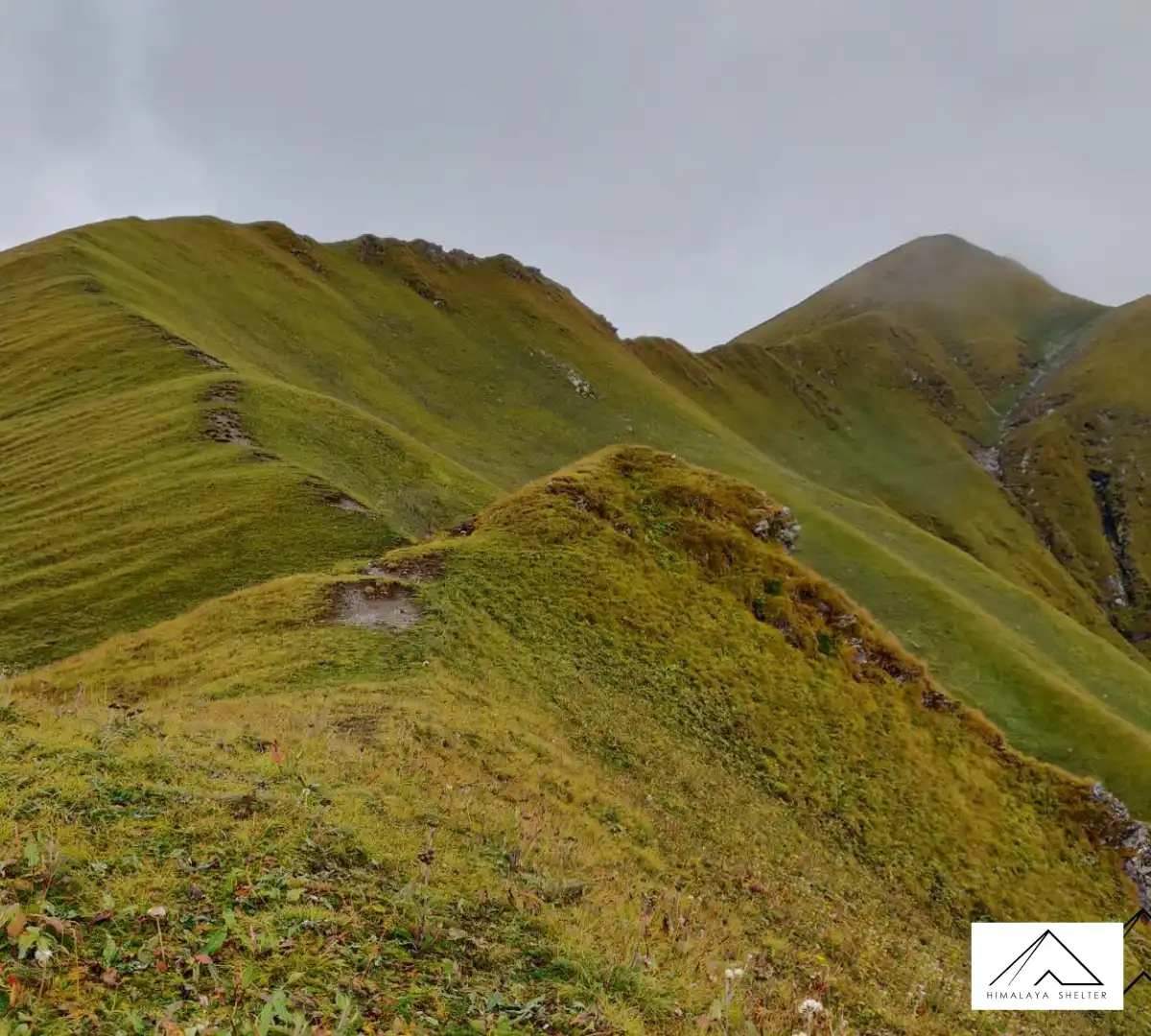 Gallery photo - Fachu Kandi Pass Trek 4