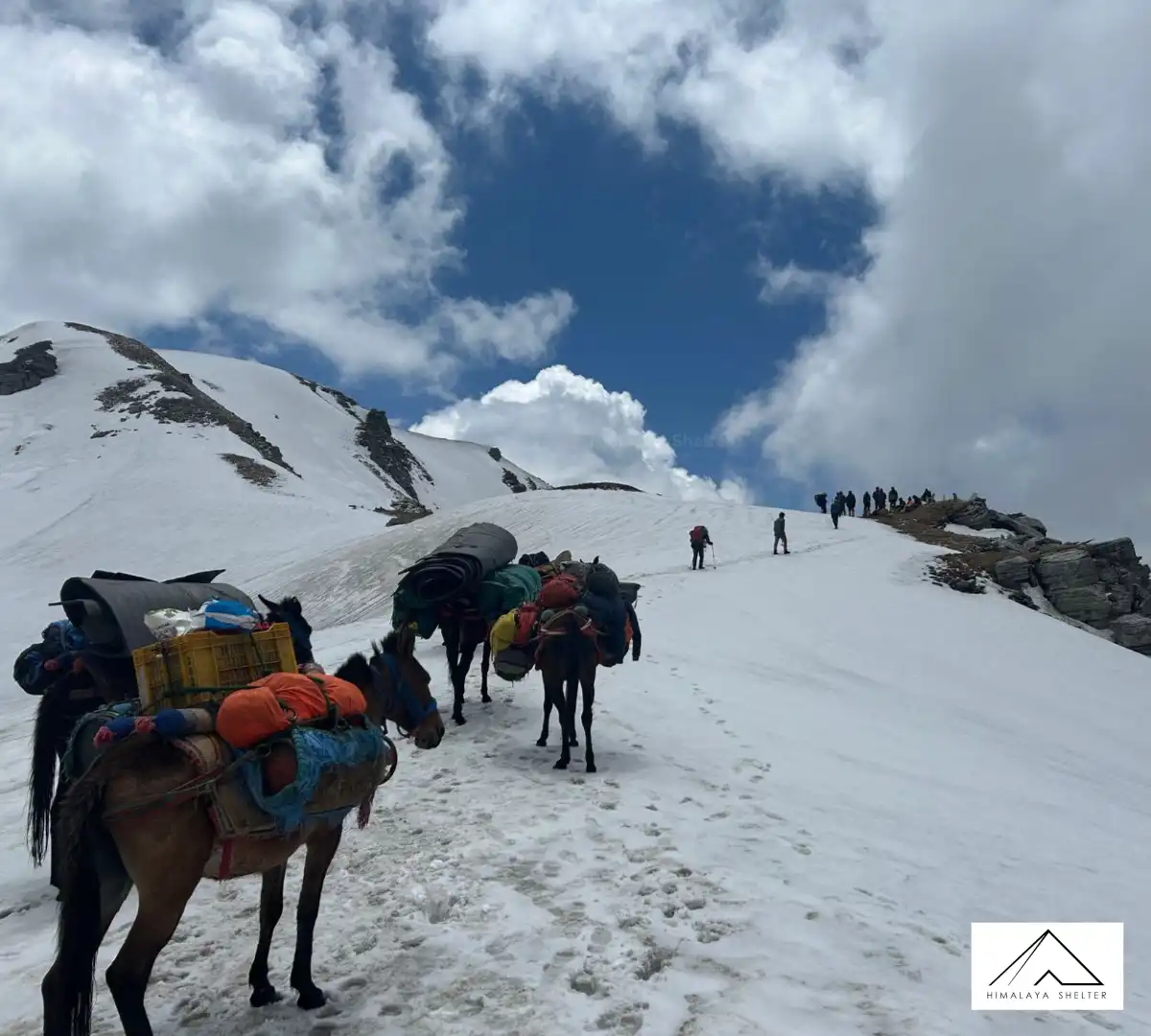 Gallery photo - Fachu Kandi Pass Trek 7