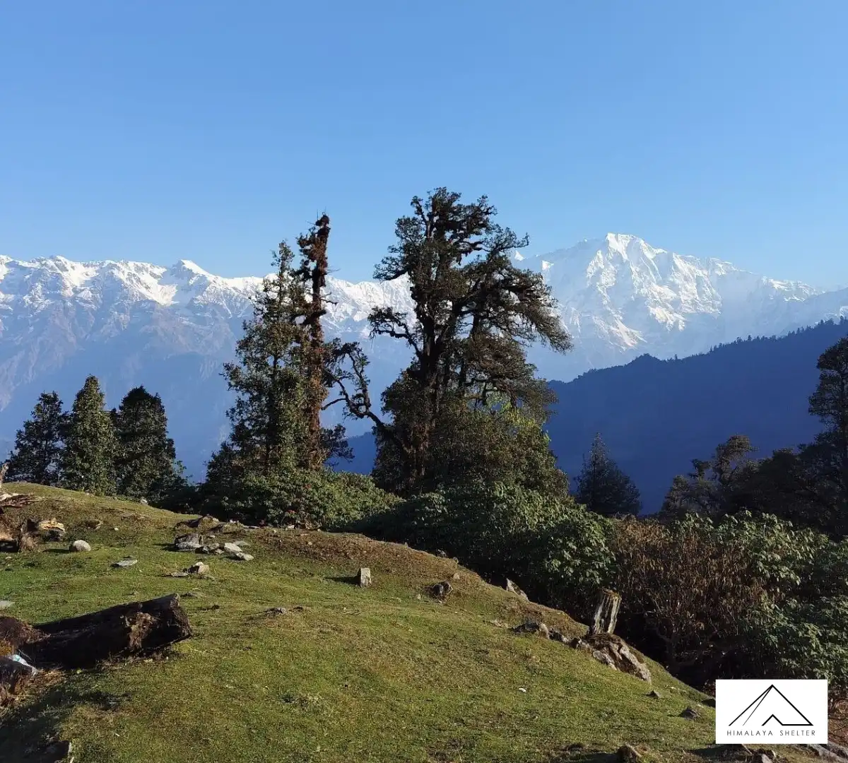 Gallery photo - Ranthang Kharak Trek 4