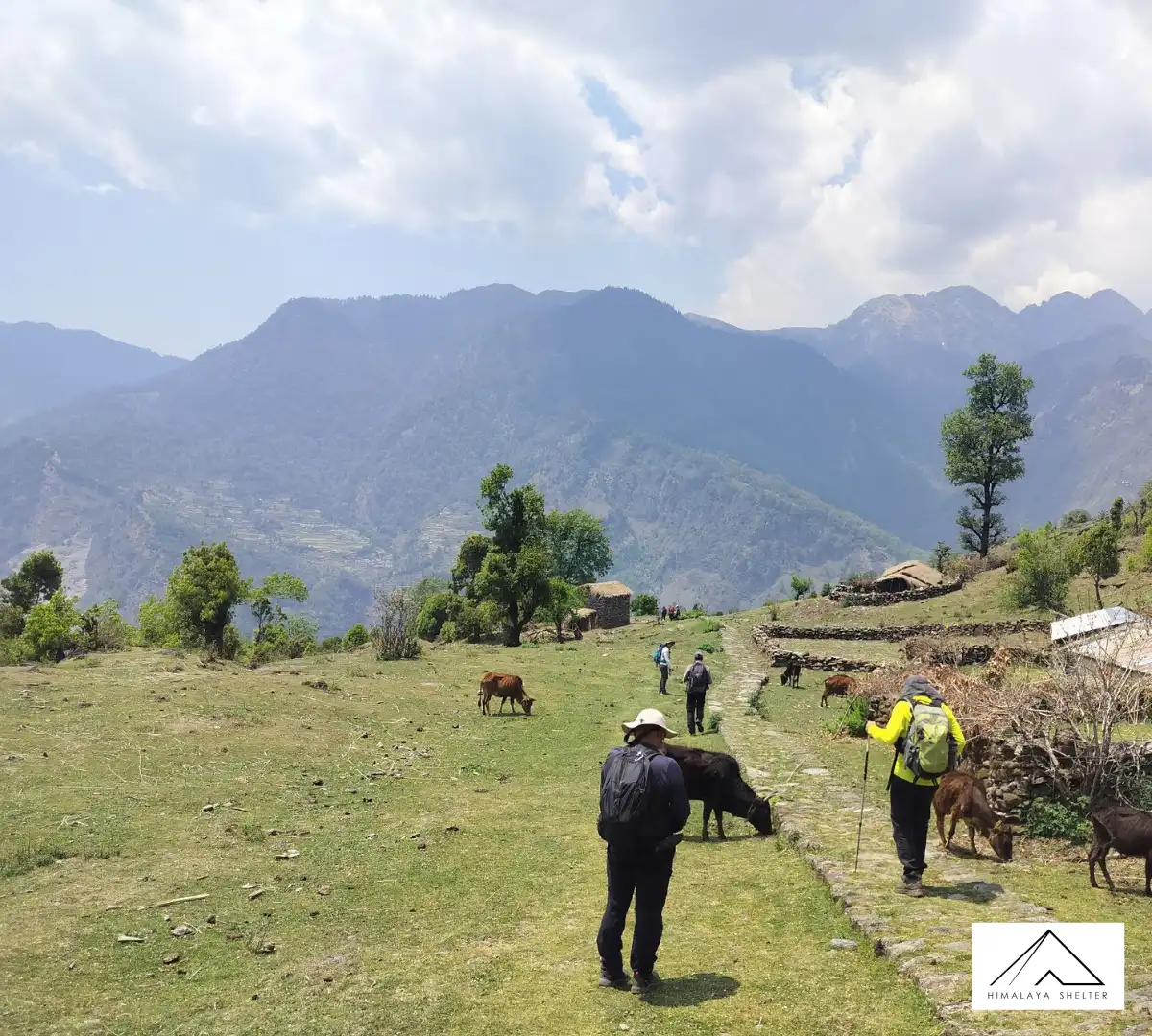 Gallery photo - Ranthang Kharak Trek 5