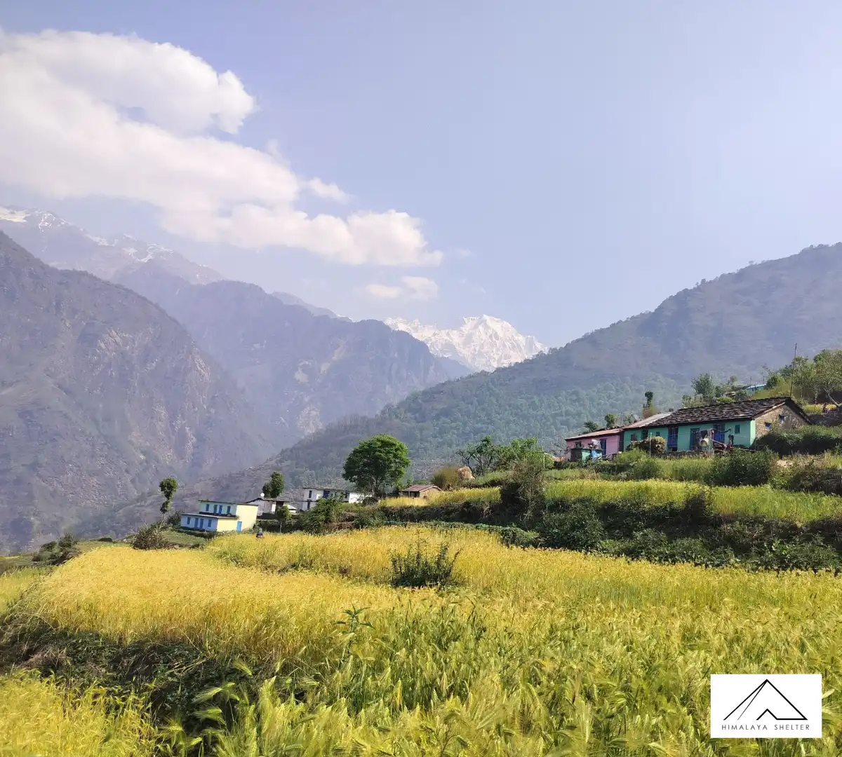 Gallery photo - Ranthang Kharak Trek 8