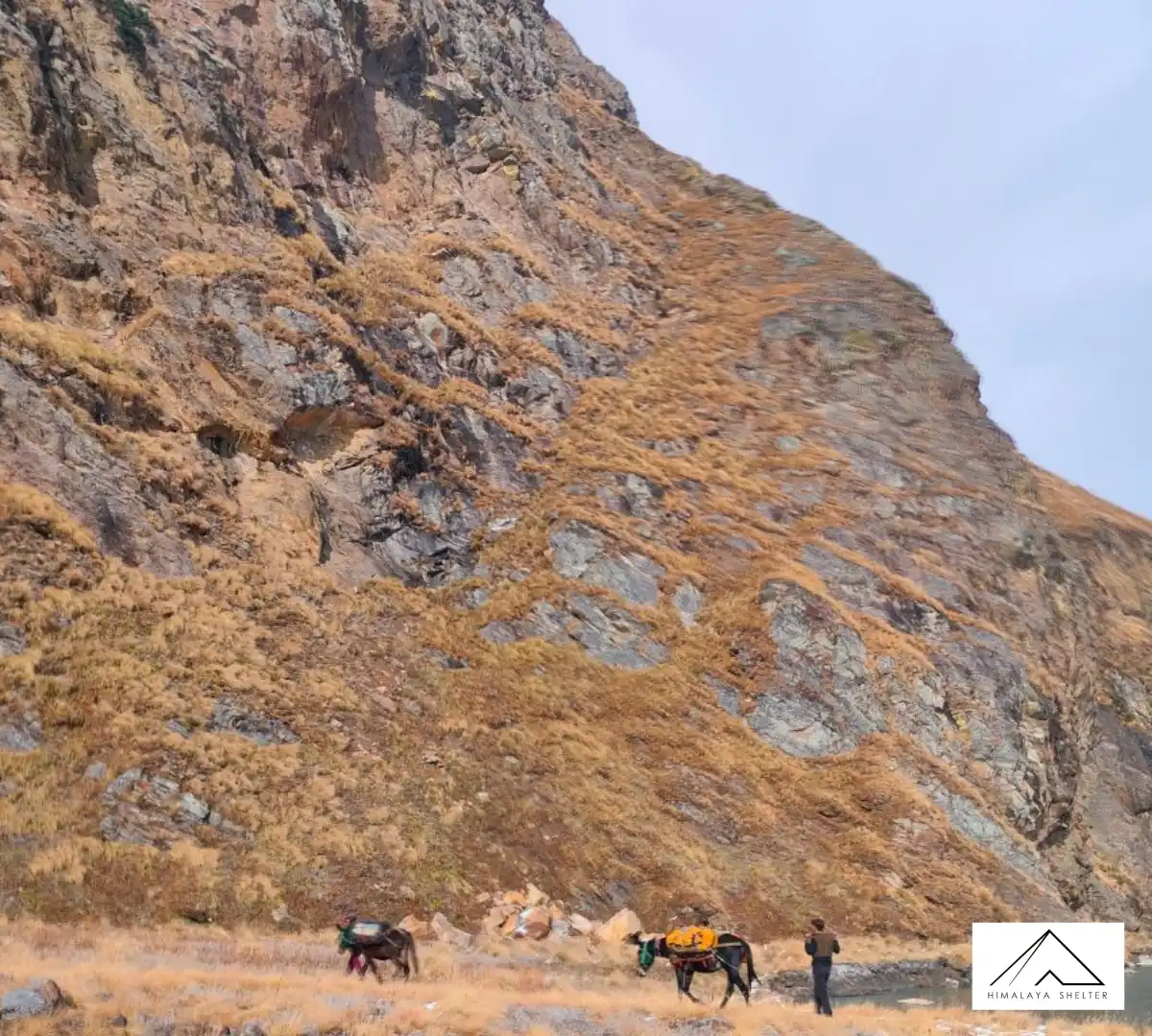 Gallery photo - Ranglana Peak Expedition 4