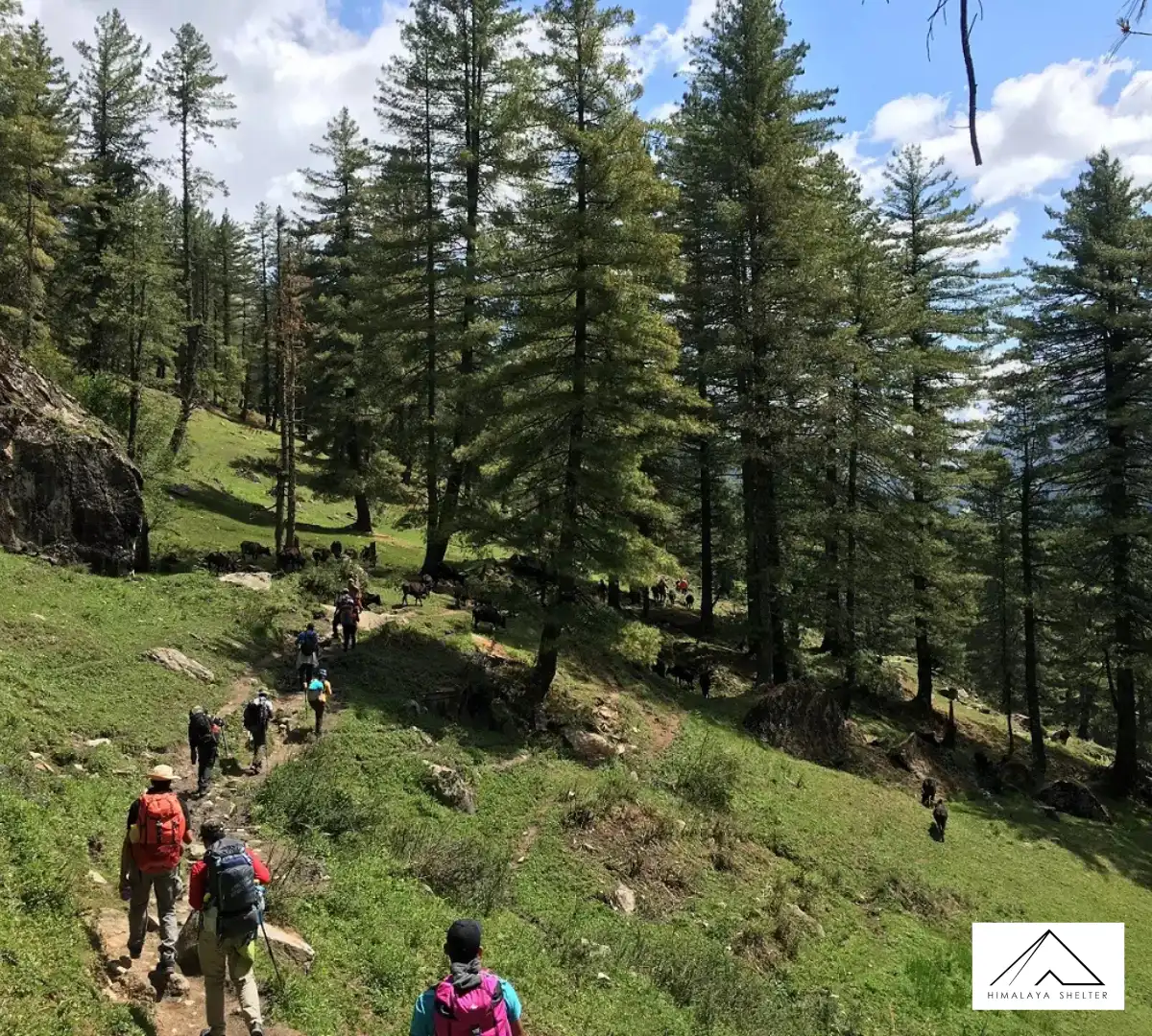 Gallery photo - Buran Ghati Trek 11