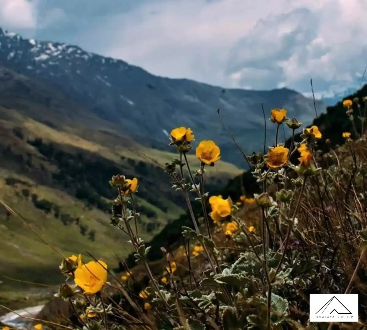 Gallery photo - Lamkhaga Pass 6