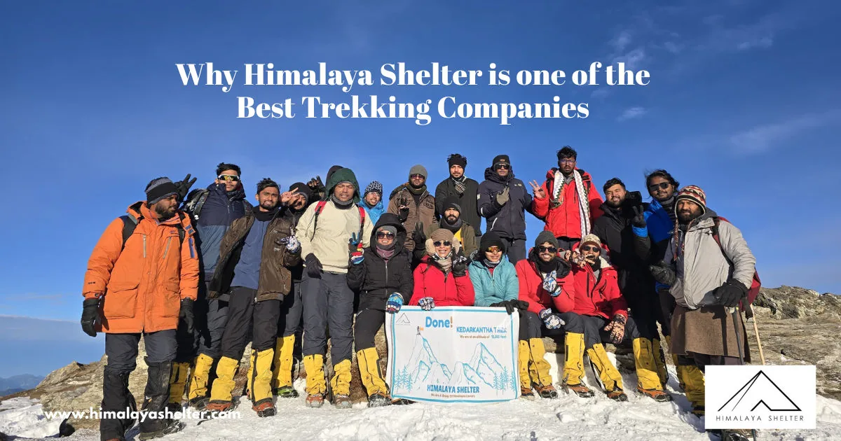 Why Himalaya Shelter is one of the Best Trekking Companies in India Trekkers Perspective