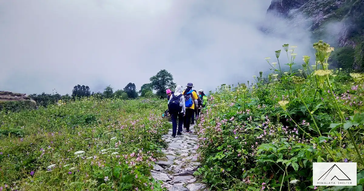 Trekkers At Valley Of Flowers
