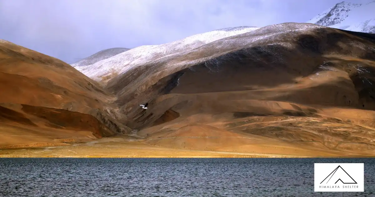 Tso Moriri Lake