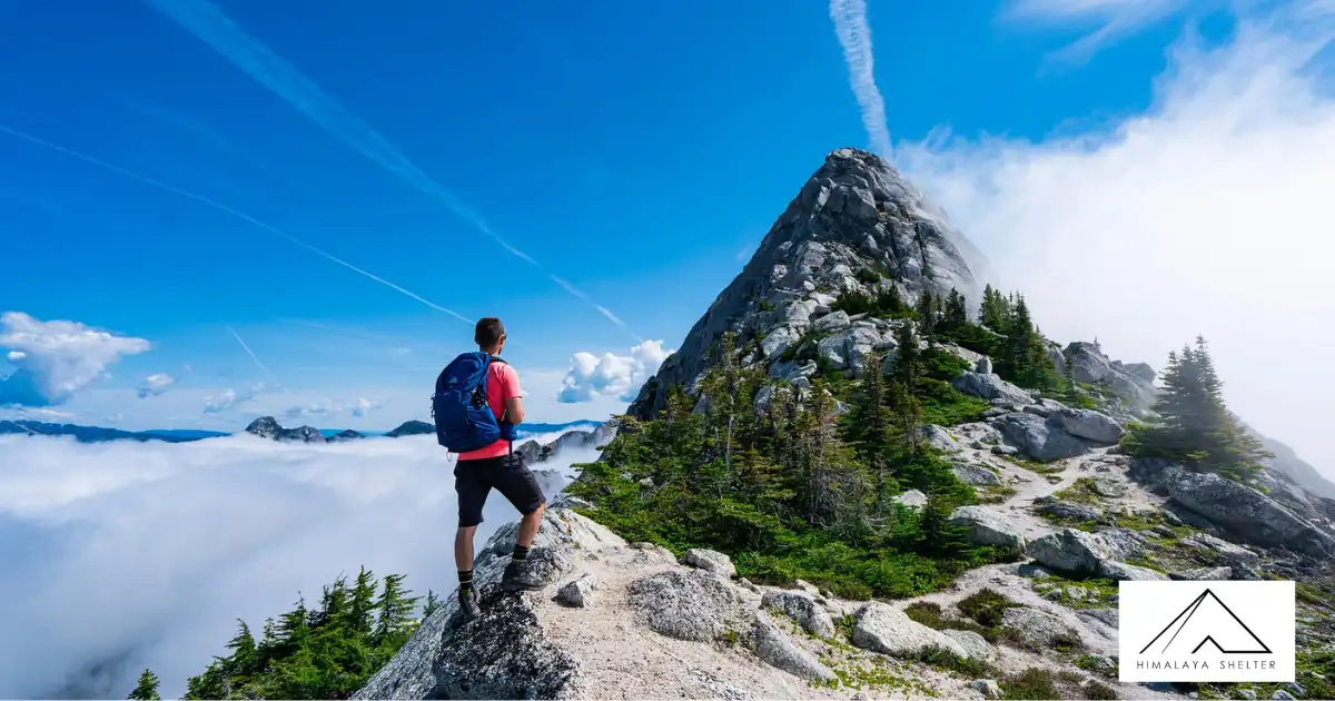 Perfect View Of The Mountain