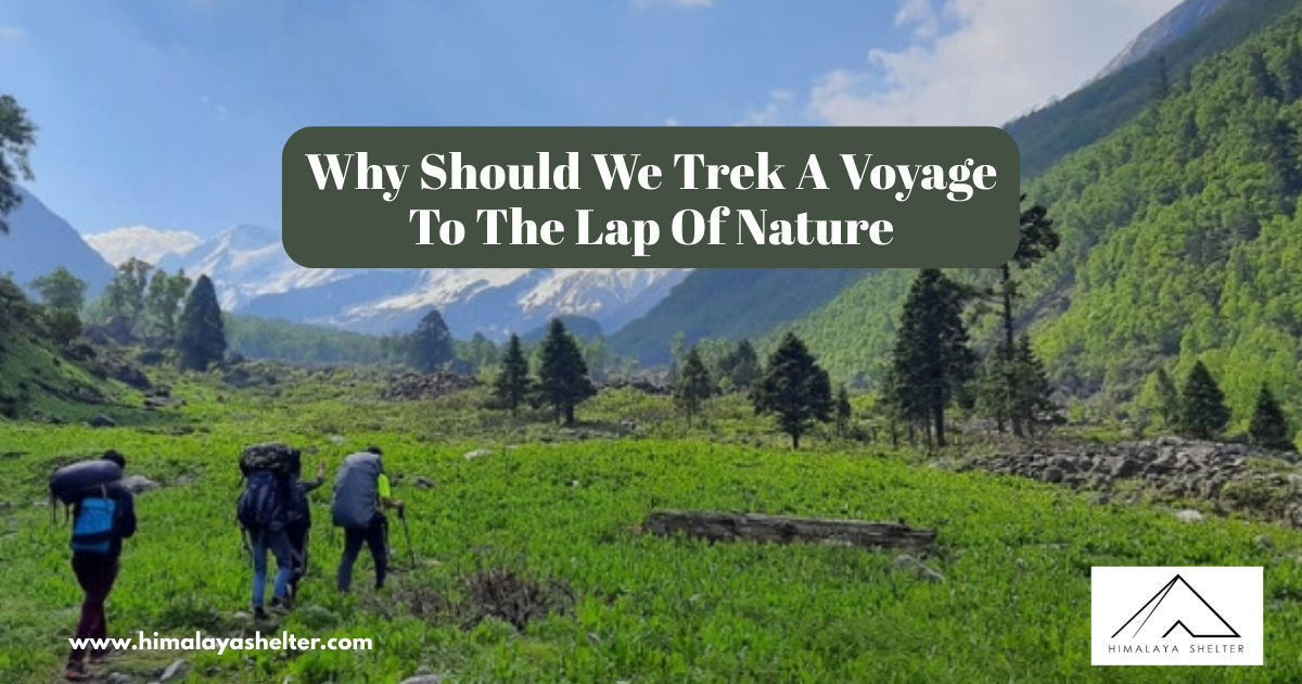 Why Should We Trek A Voyage To The Lap Of Nature