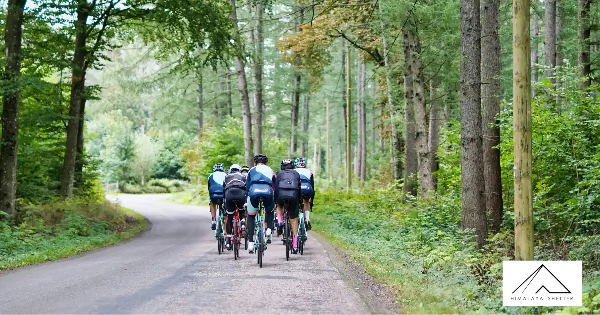 Group Of Cyclists