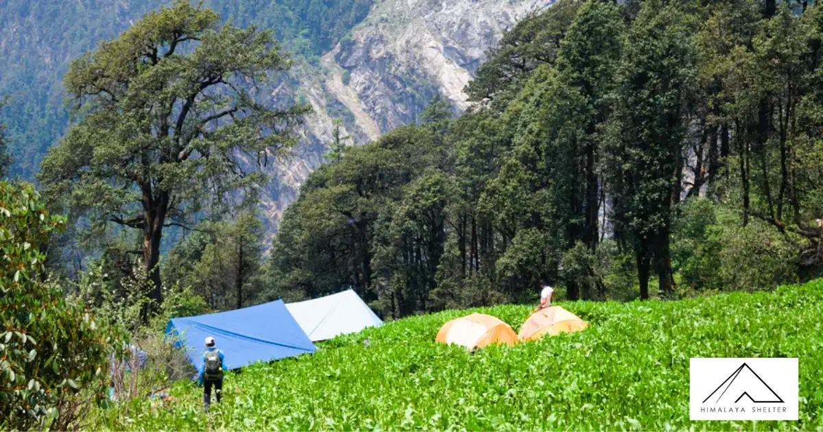 Last Day Campsite At Lower Dhamini