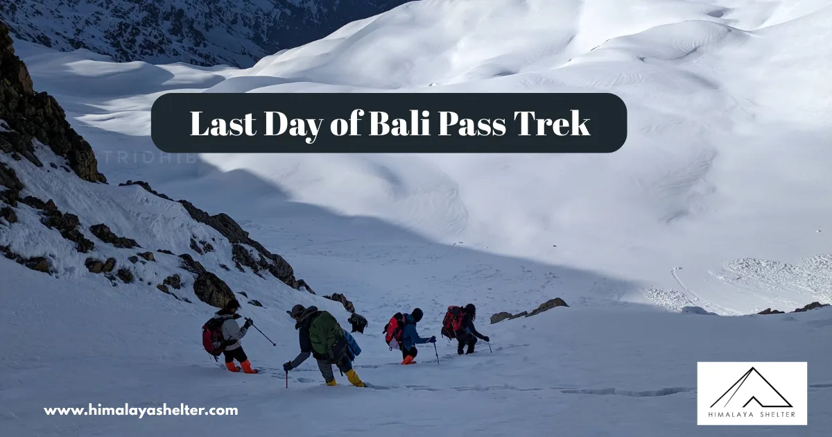 Last Day of Bali Pass Trek An Epic Himalayan Adventure In 2024: Bali pass trek