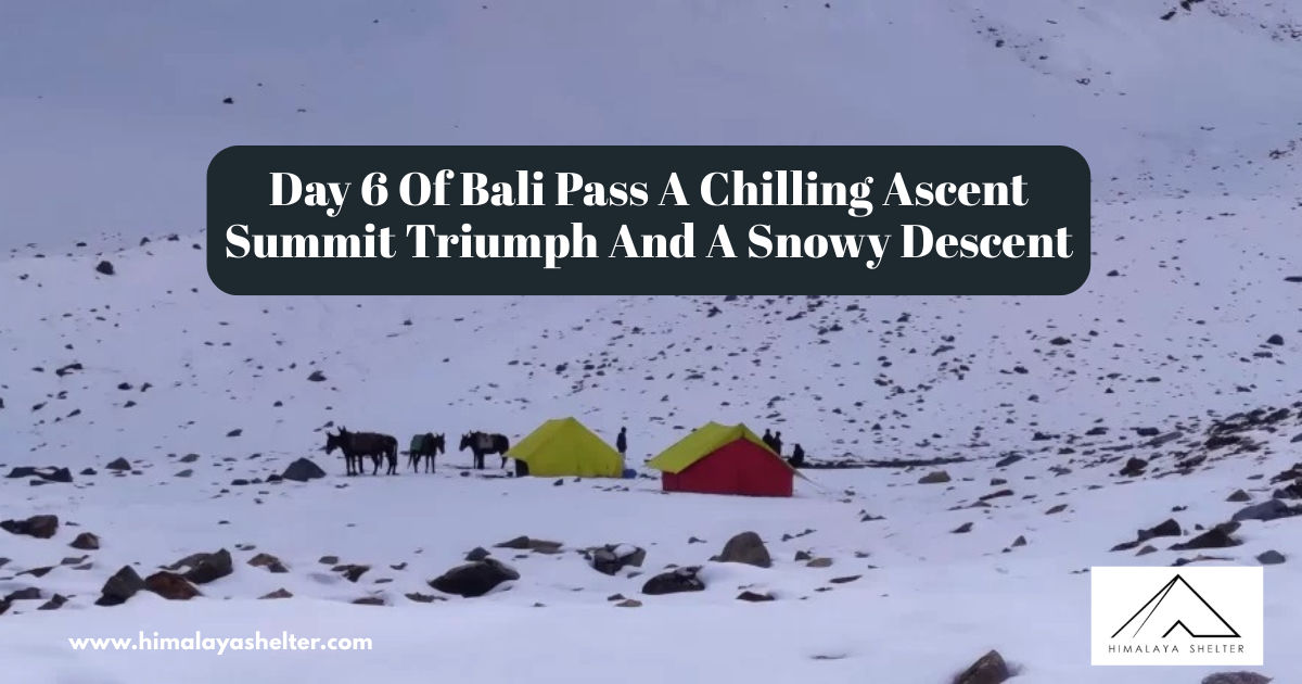 Day 6 Of Bali Pass A Chilling Ascent Summit Triumph And A Snowy Descent