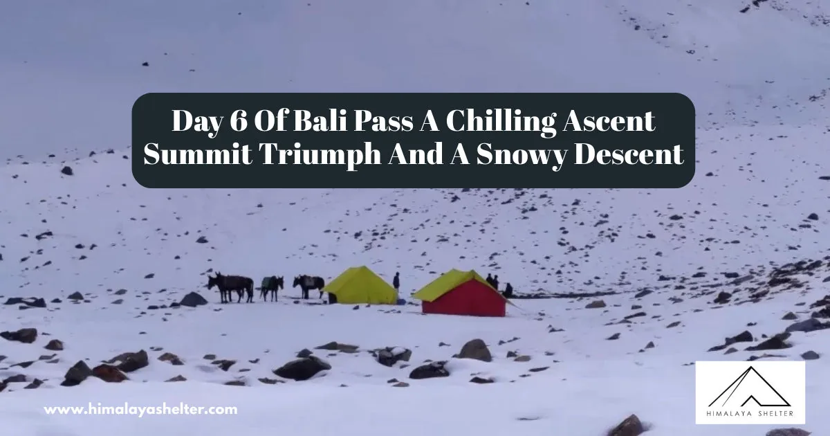 Day 6 Of Bali Pass A Chilling Ascent Summit Triumph And A Snowy Descent: Bali pass trek