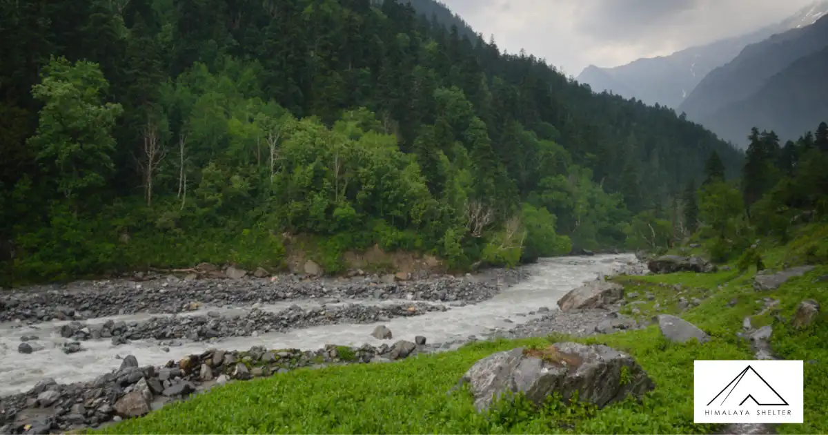 Beautiful River View Alongside The Forest