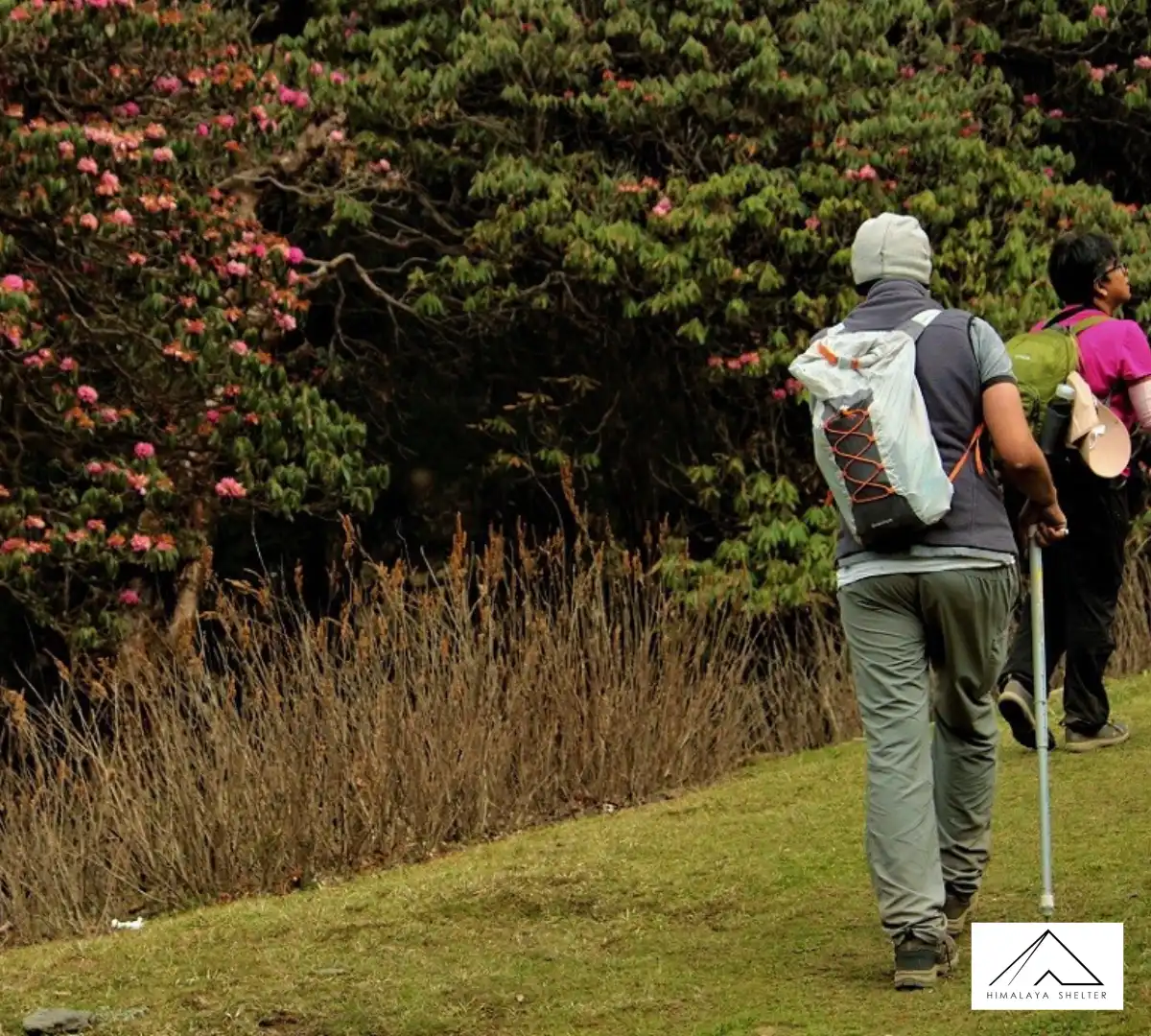 Gallery photo - Deoriatal Chopta Chandrashila Trek 3