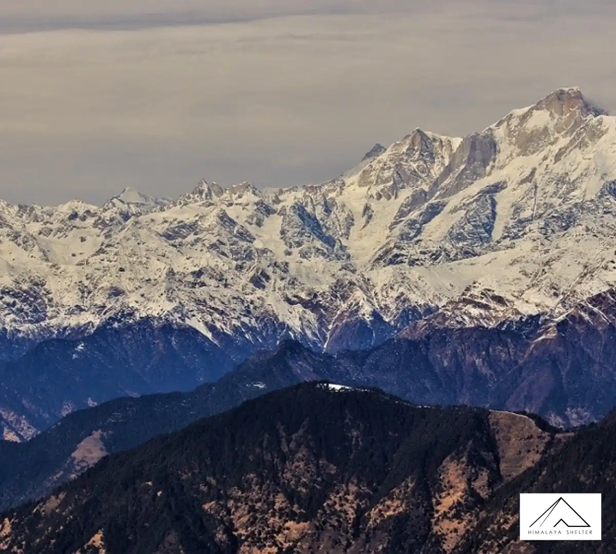 Gallery photo - Deoriatal Chopta Chandrashila Trek 4