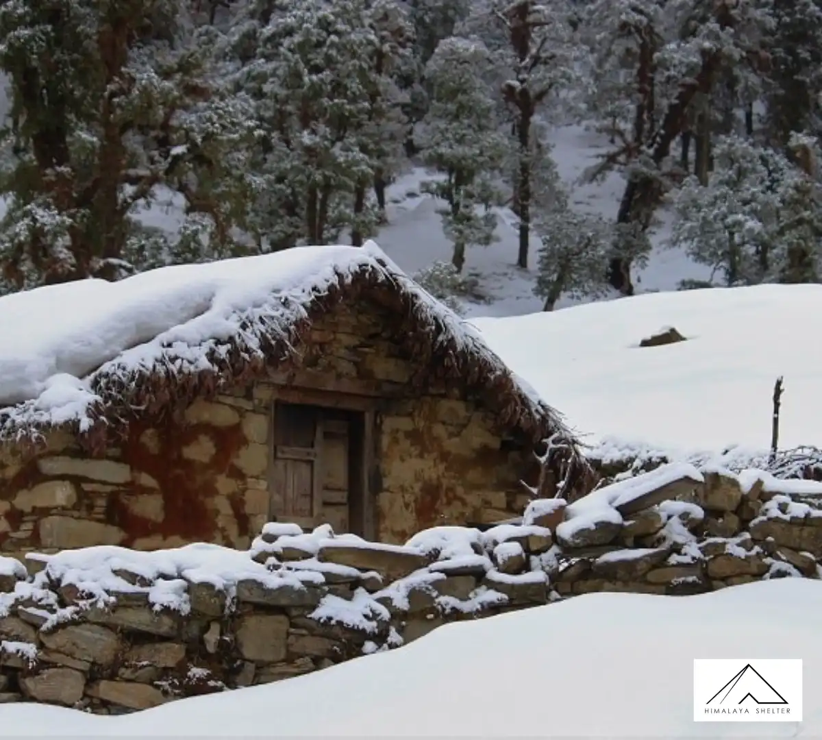 Gallery photo - Deoriatal Chopta Chandrashila Trek 5