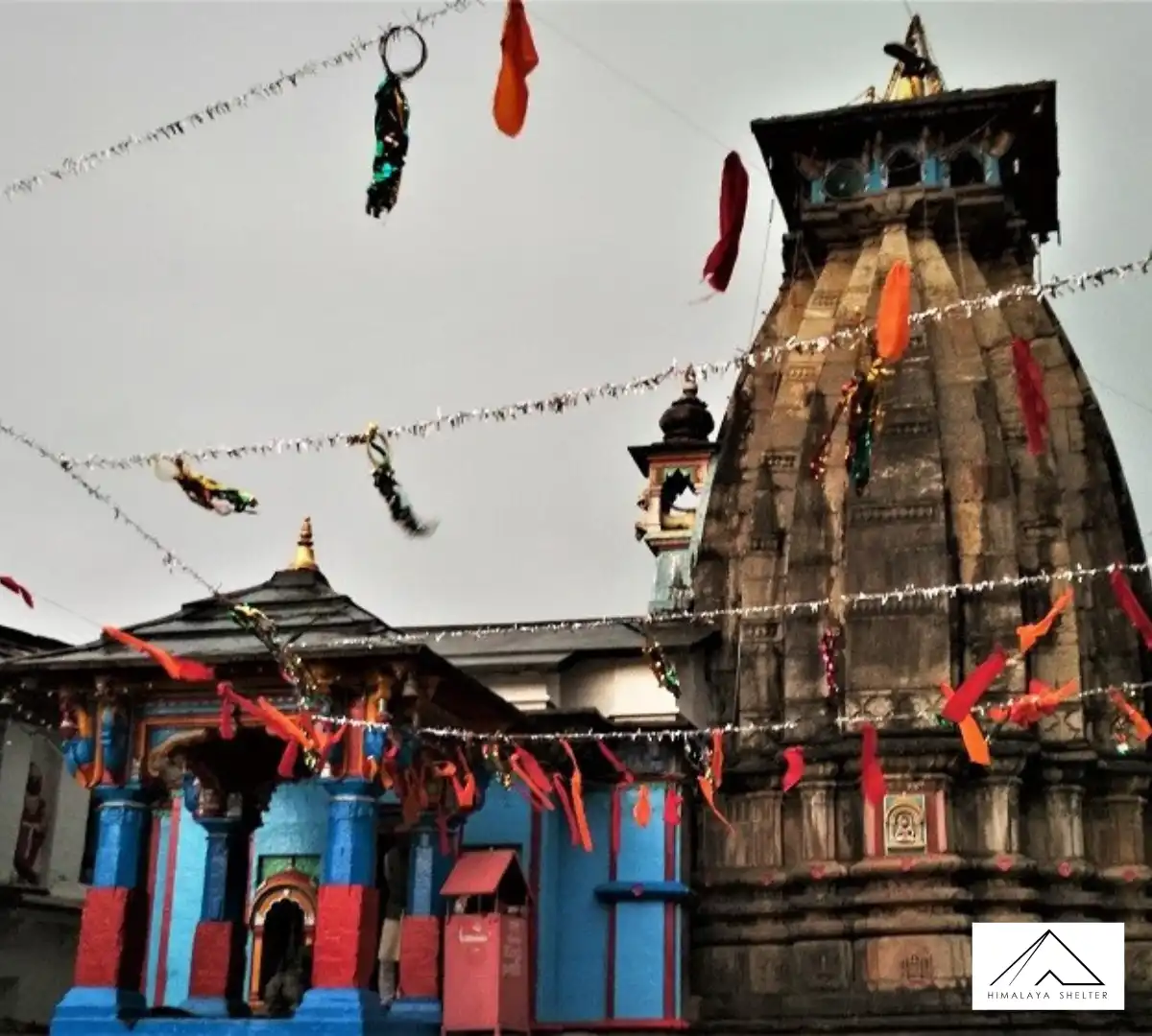 Gallery photo - Deoriatal Chopta Chandrashila Trek 8