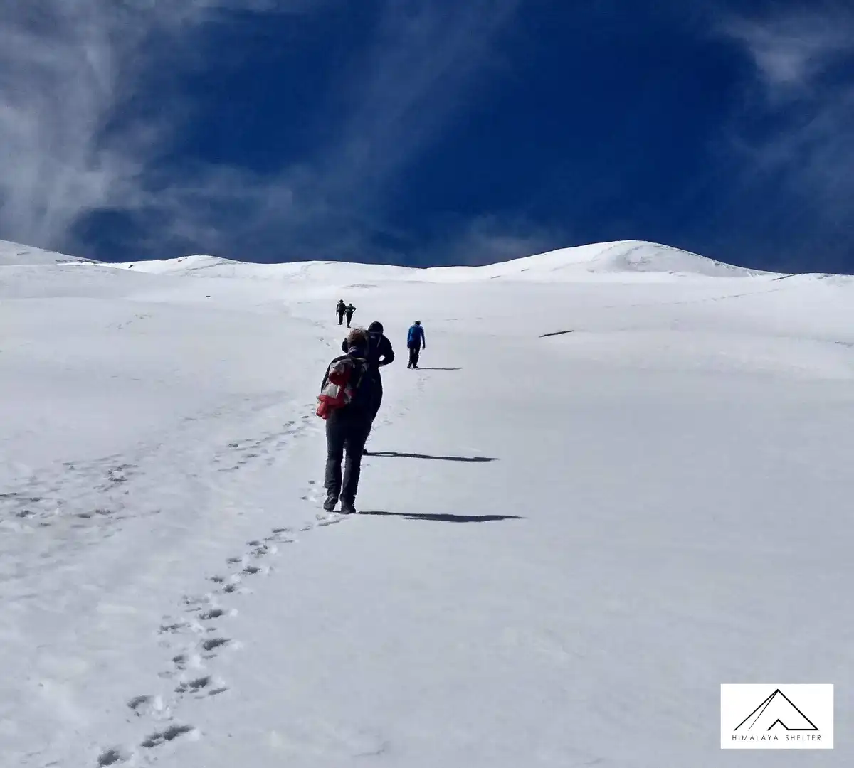 Gallery photo - Bedni Ali Bugyal Trek 3