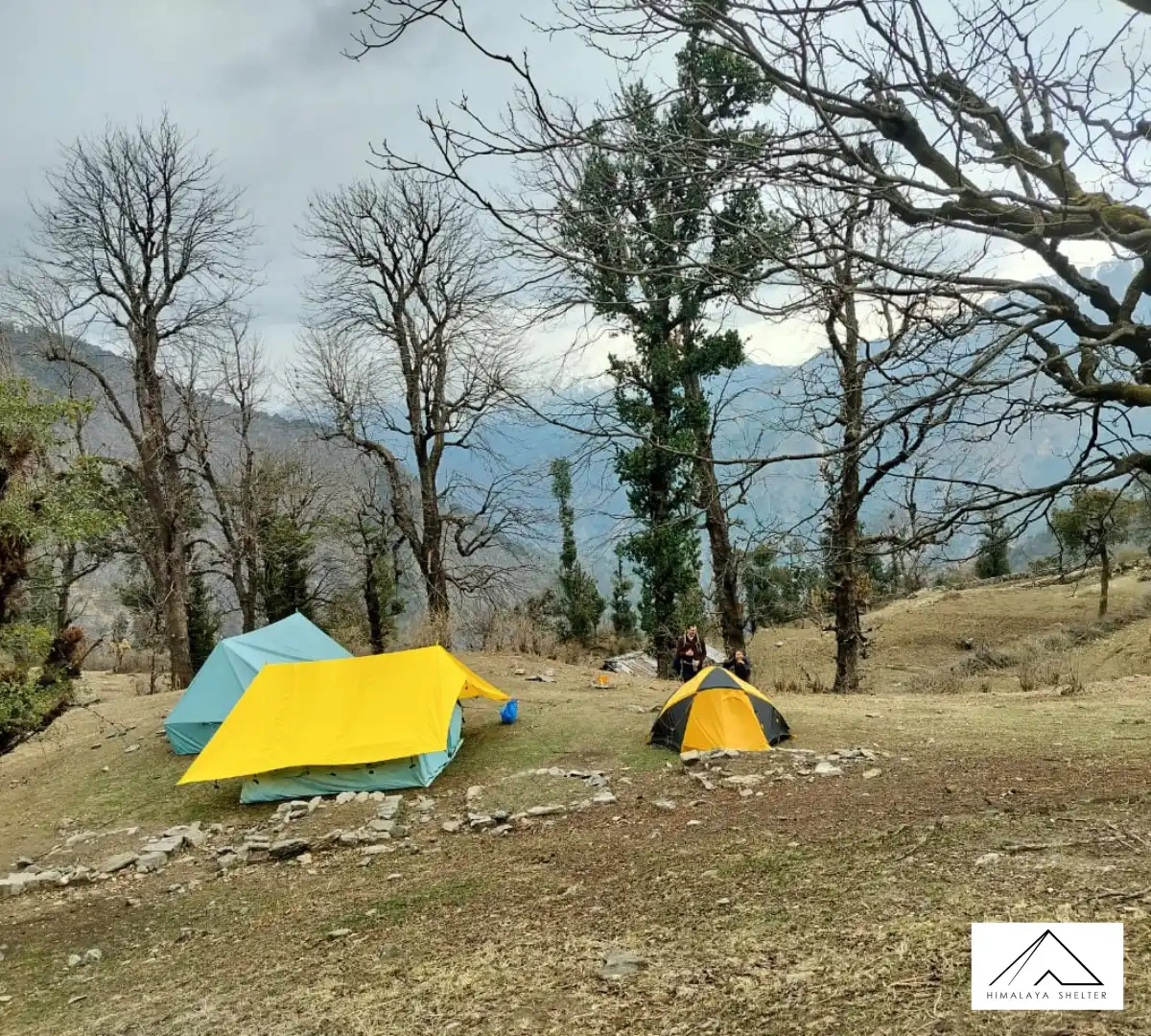 Gallery photo - Bedni Ali Bugyal Trek 6