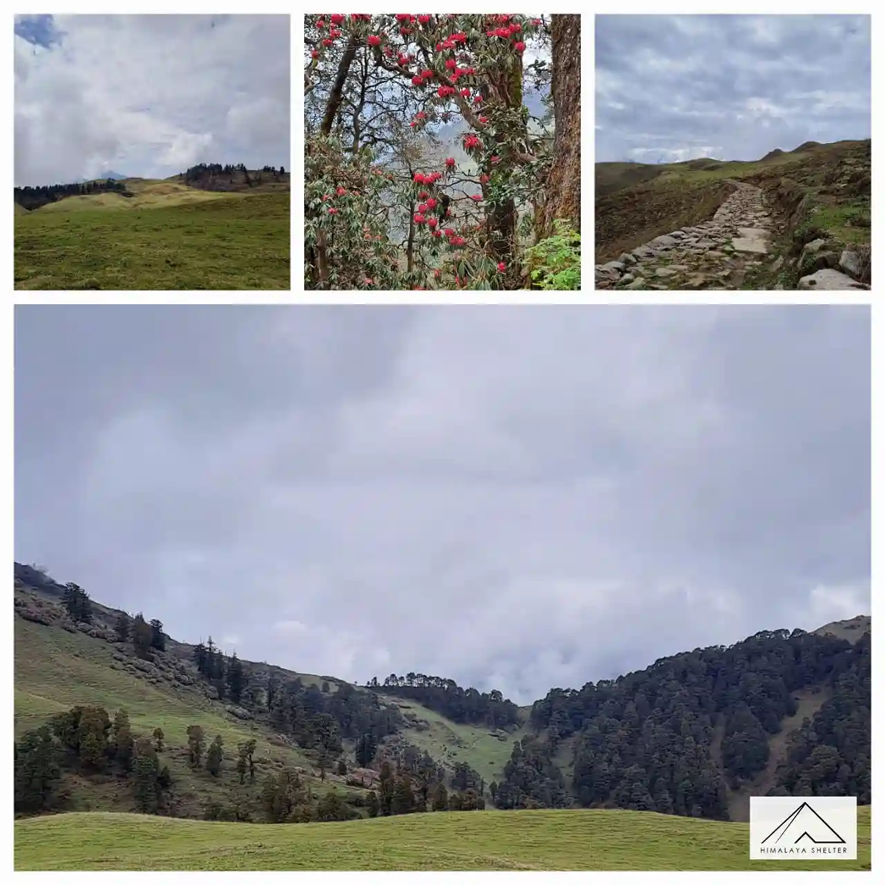 Trekker&rsquo;s Tale : One Month, Four Treks, Endless Memories