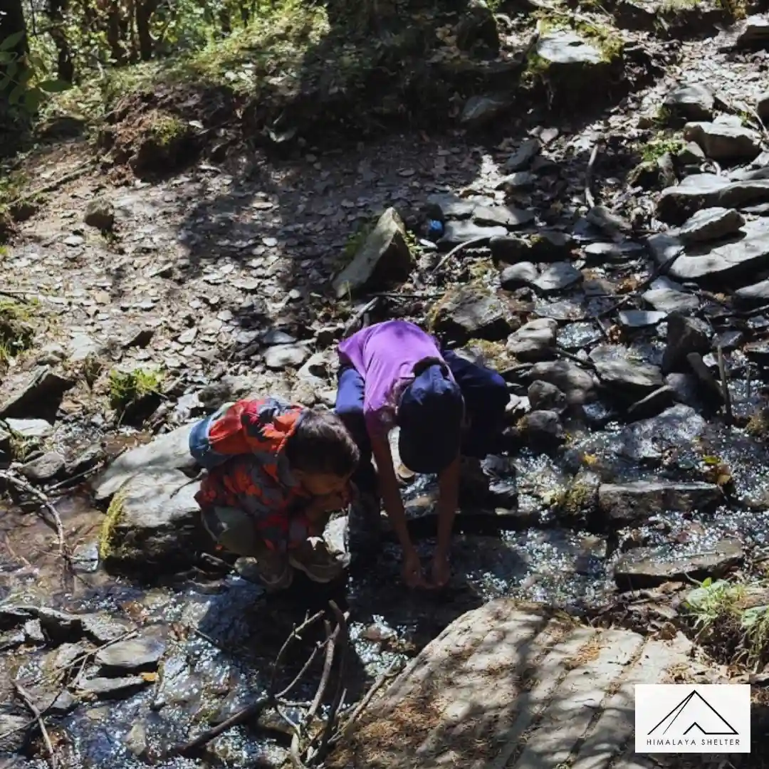 Gallery photo - Rashi Top And Batgoera Bugyal Trek 1