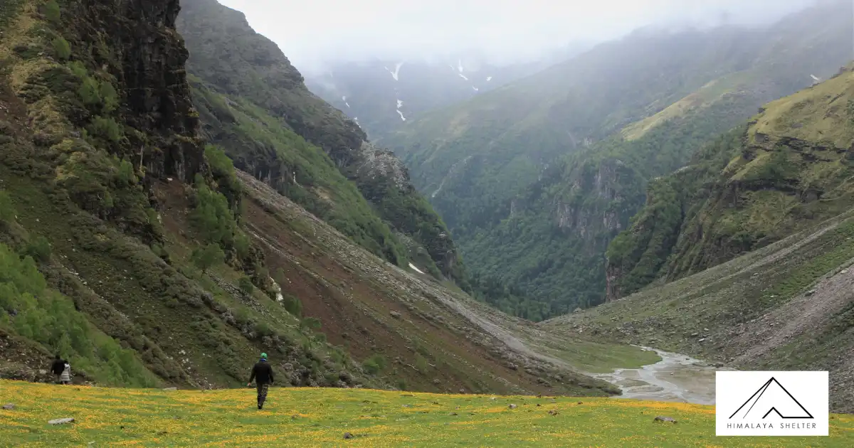 Trekker Walking On The Meadow