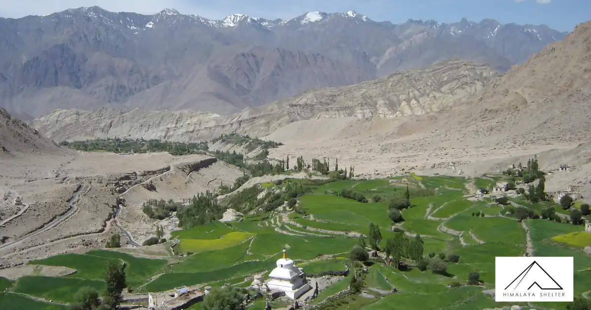 Likir Yangthang Temisgam