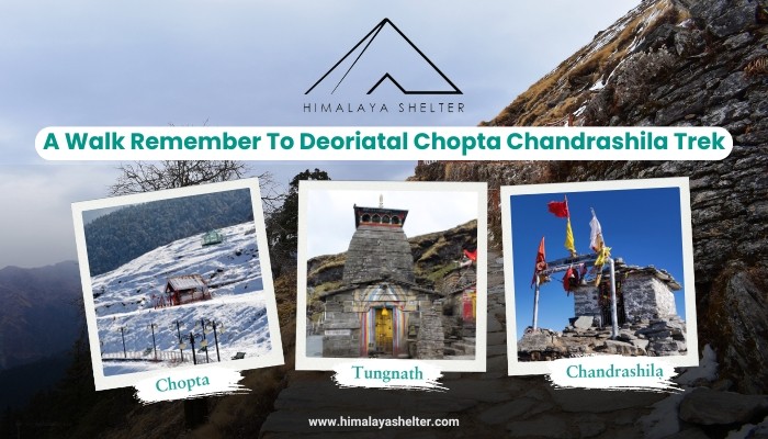 A Walk Remember To Deoriatal Chopta Chandrashila Trek
