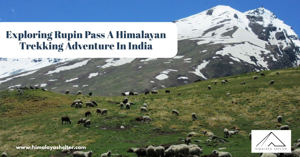 Exploring Rupin Pass A Himalayan Trekking Adventure In India