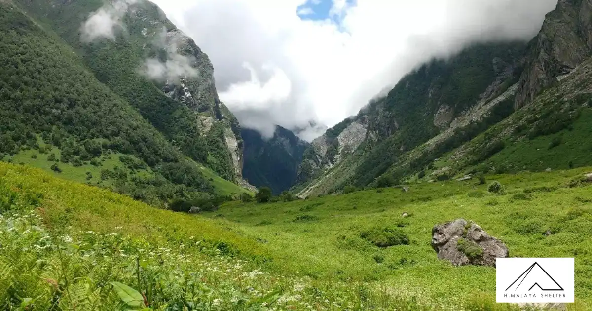 Valley  View From Malana Village