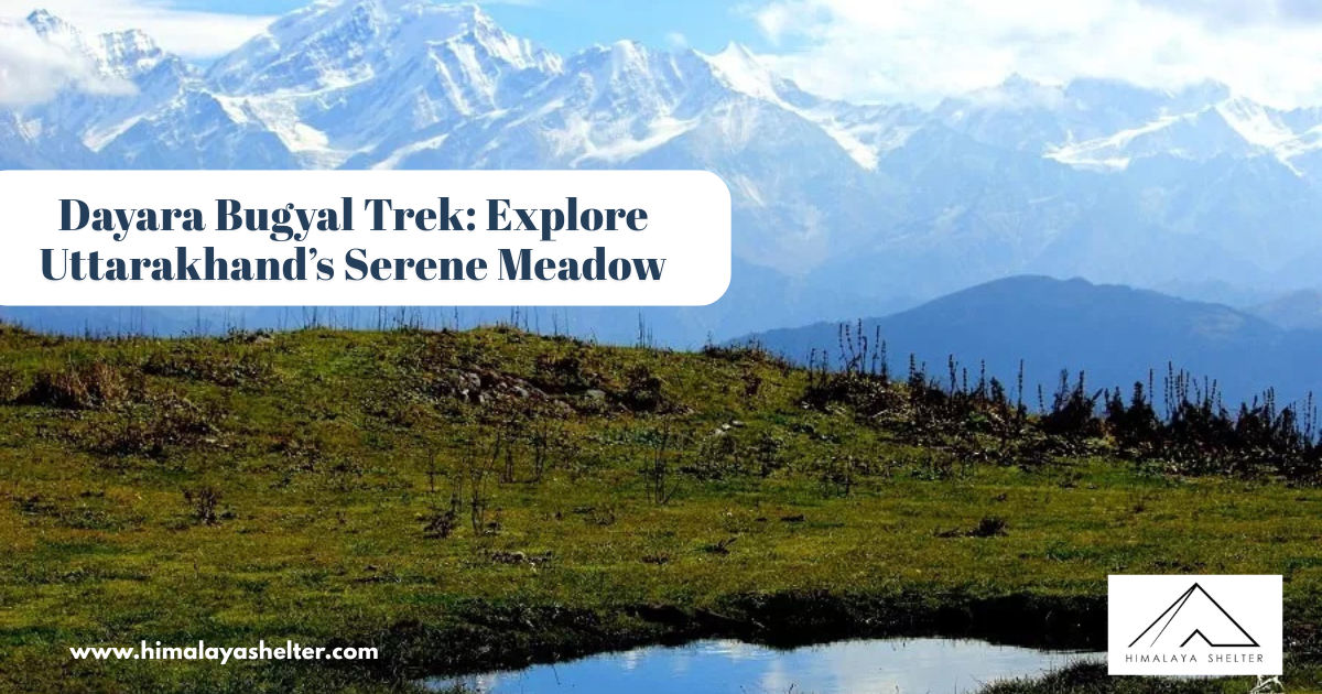 Dayara Bugyal Trek Explore Uttarakhands Serene Meadow in All Seasons
