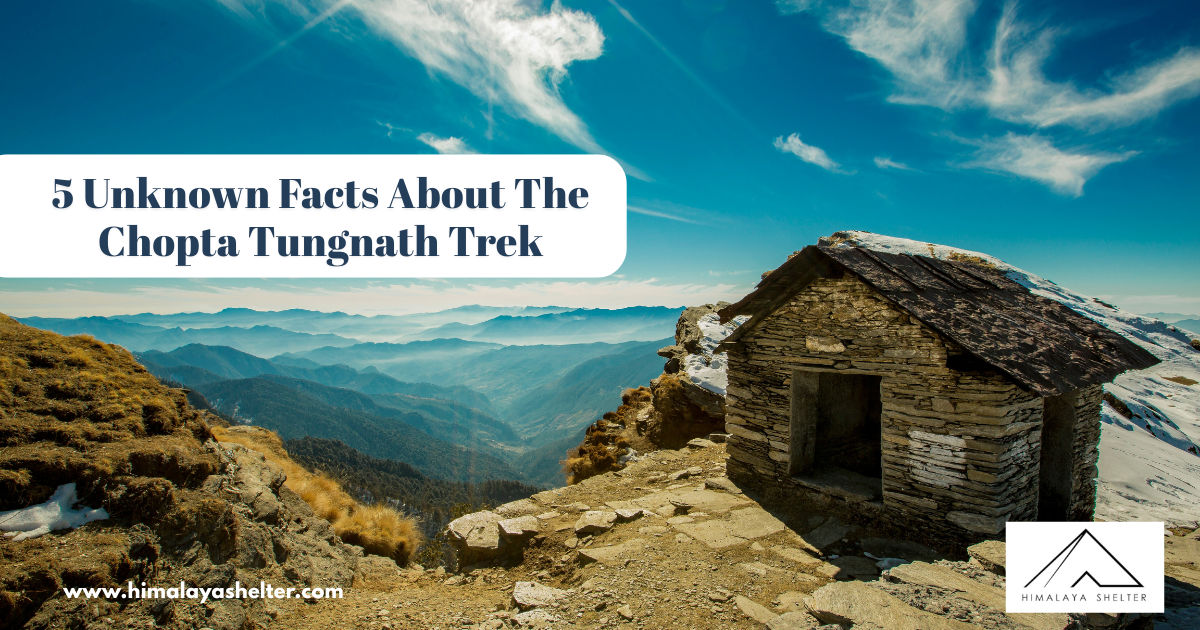 5 Unknown Facts About the Chopta Tungnath Trek
